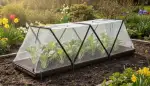 Insektenschutz im Frühbeet: Vlieshauben als Barriere