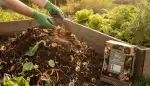 Kompostbeschleuniger: Turbo für Ihren Gartenhumus