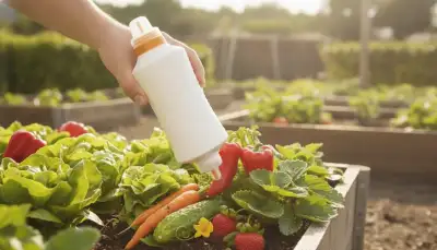 Der optimale Hochbeet Dünger für reiche Ernte