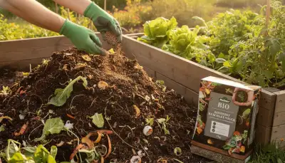 Kompostbeschleuniger: Turbo für Ihren Gartenhumus