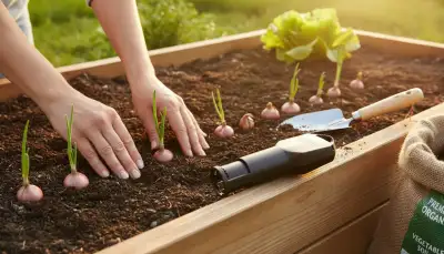 Steckzwiebeln pflanzen: Ernteglück im Hochbeet